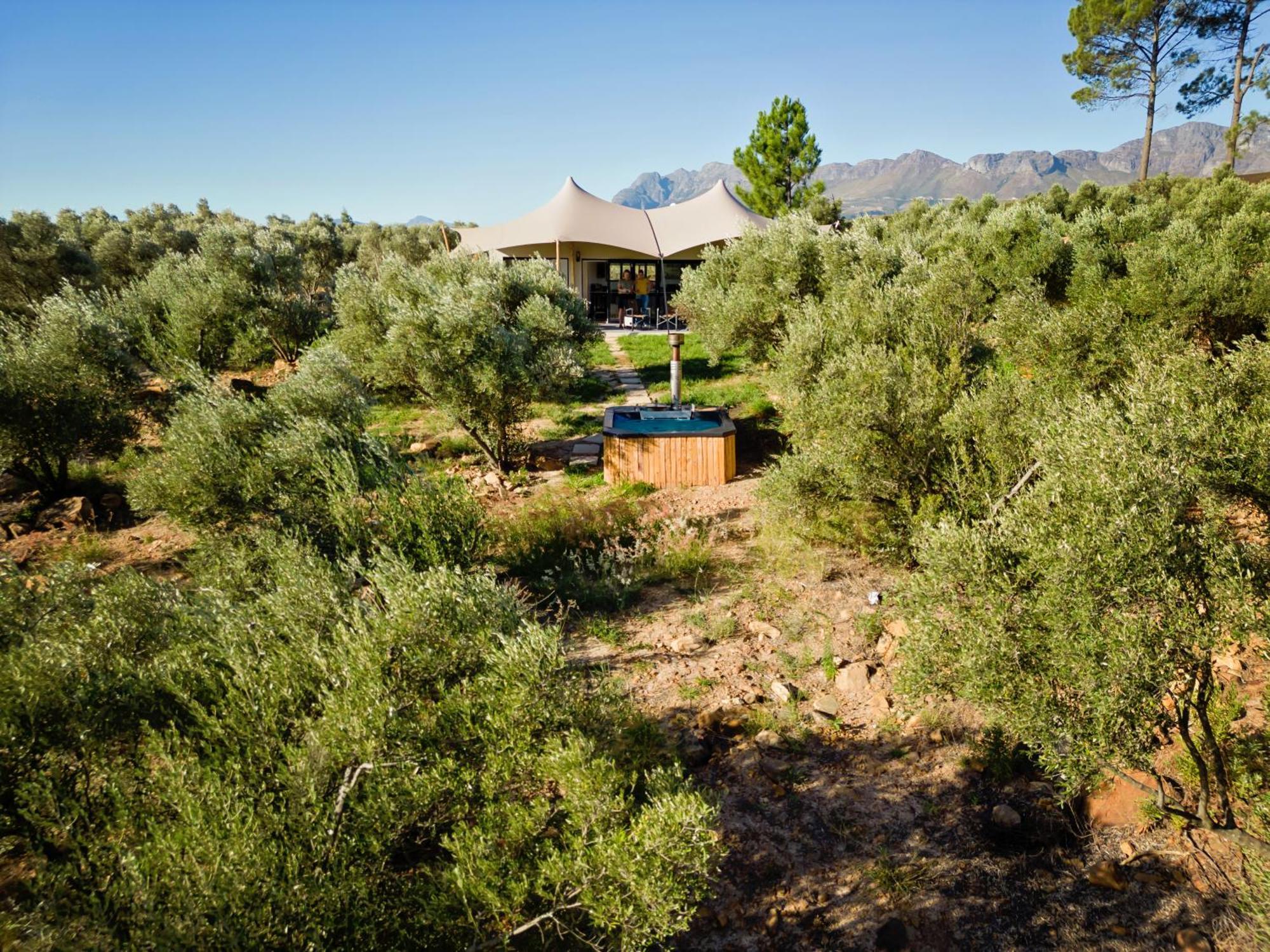 פארל Wagyu Mountain Lodge מראה חיצוני תמונה